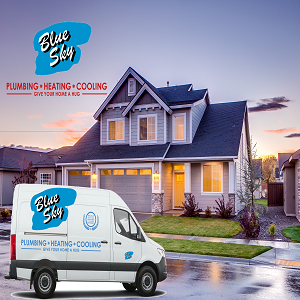 Company Logo For Blue Sky Plumbing &amp; Drain Cleaning'