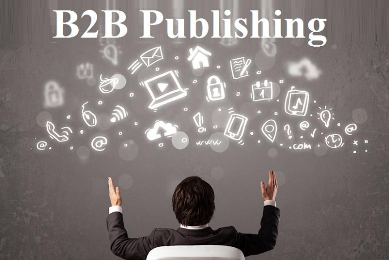 B2B Publishing Market'