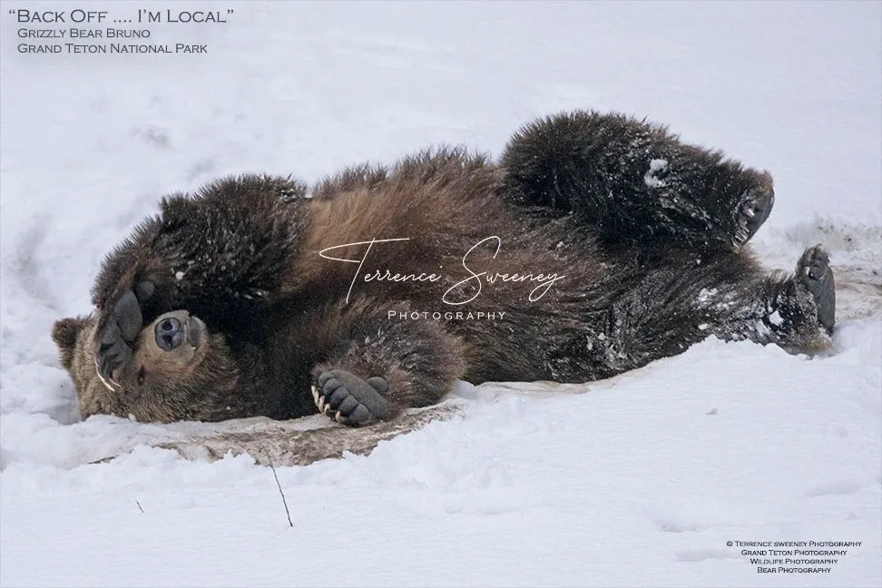 Company Logo For Terrence Sweeney Photography'