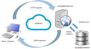 Web Services Cloud Market'