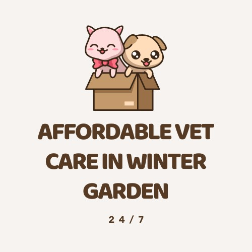 Company Logo For Affordable Vet Care Winter Garden'