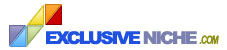 ExclusiveNiche.com Logo