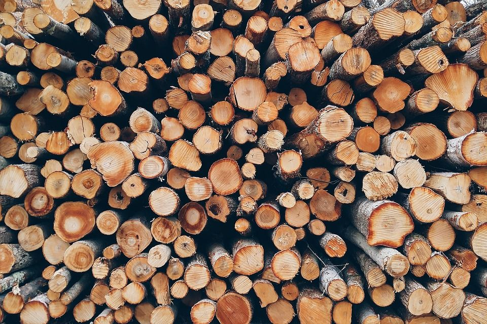 Firewood Stores'
