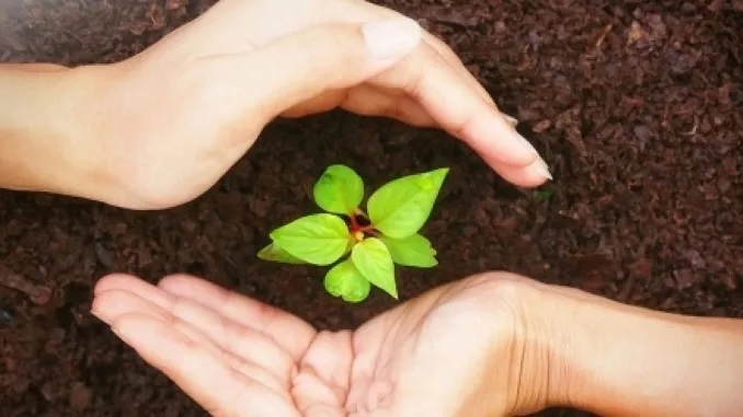 Agricultural Insurance Market'