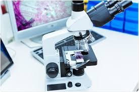 Digital Pathology Market