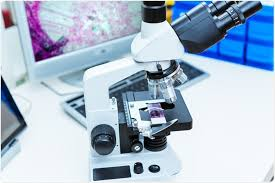 Digital Pathology Market'