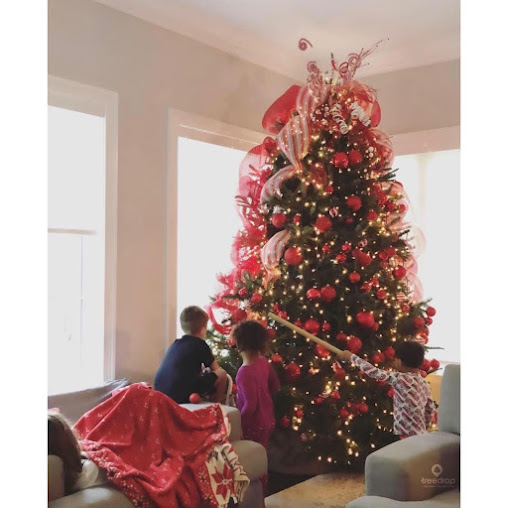 Company Logo For Treedrop or Tree Drop, LLC'