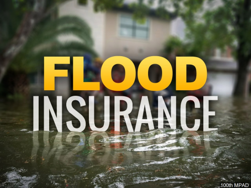 Flood Insurance Market'