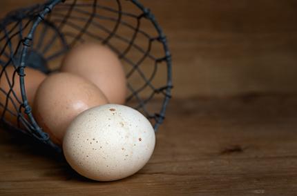 Organic Egg Market