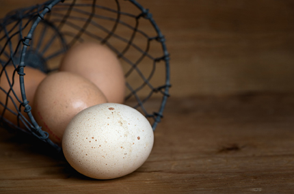Organic Egg Market'