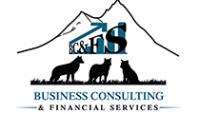 Business Consulting and Financial Services Logo