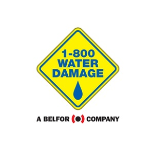 1-800 WATER DAMAGE of Rochester, NY Logo