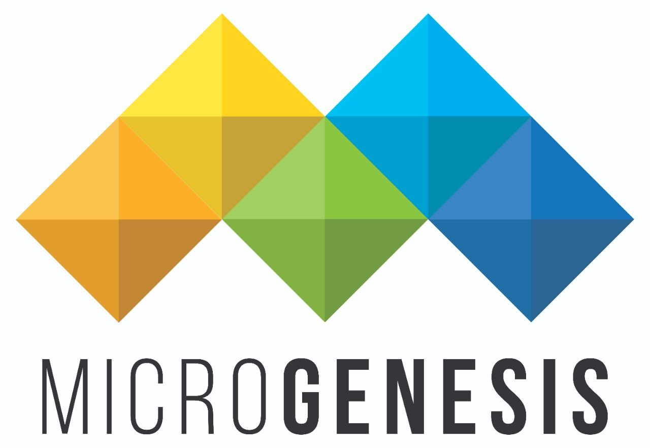 Company Logo For Microgenesis Techsoft'