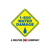 1-800 WATER DAMAGE of Northwest Houston Logo