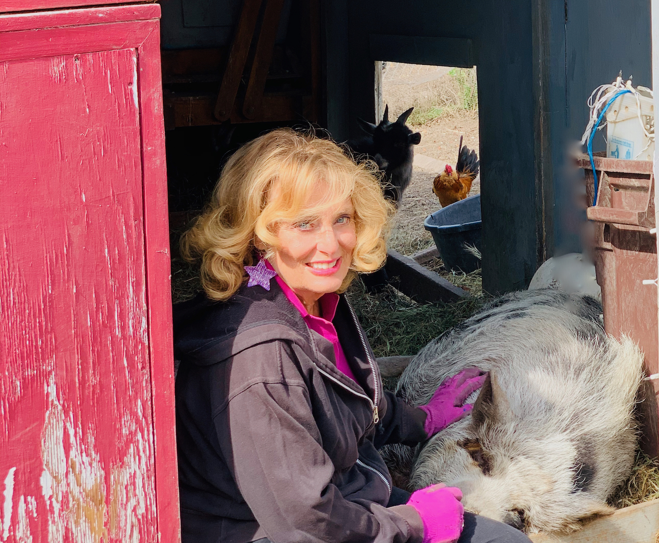Cynthia Brian Barnyard