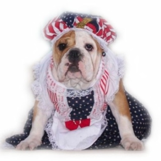 Betsy Ross Dress from Pet Adorn'