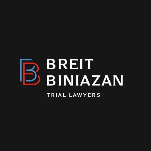 Company Logo For Breit Biniazan'