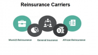 Reinsurance Carriers Market