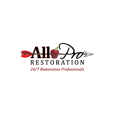 Company Logo For All Pro Restoration'