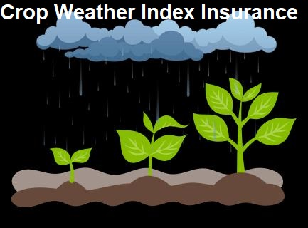 Crop Weather Index Insurance Market'