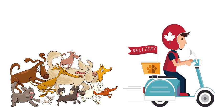 Pet Food Delivery Market'