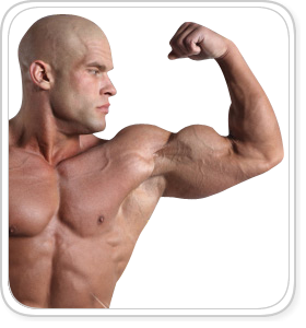 Pro Testosterone'