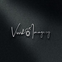 Vivvid Imagery Logo