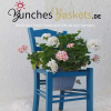 Company Logo For bunchesbaskets.de'