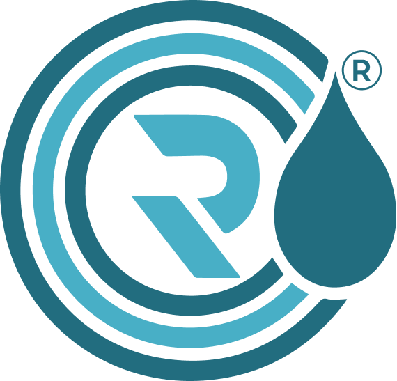 Company Logo For Rain_Infotech'