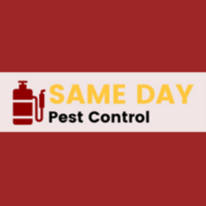 Same Day Pest Control London