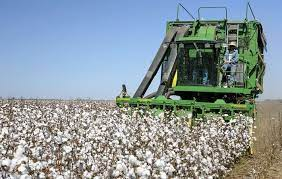 Cotton Harvester Market'