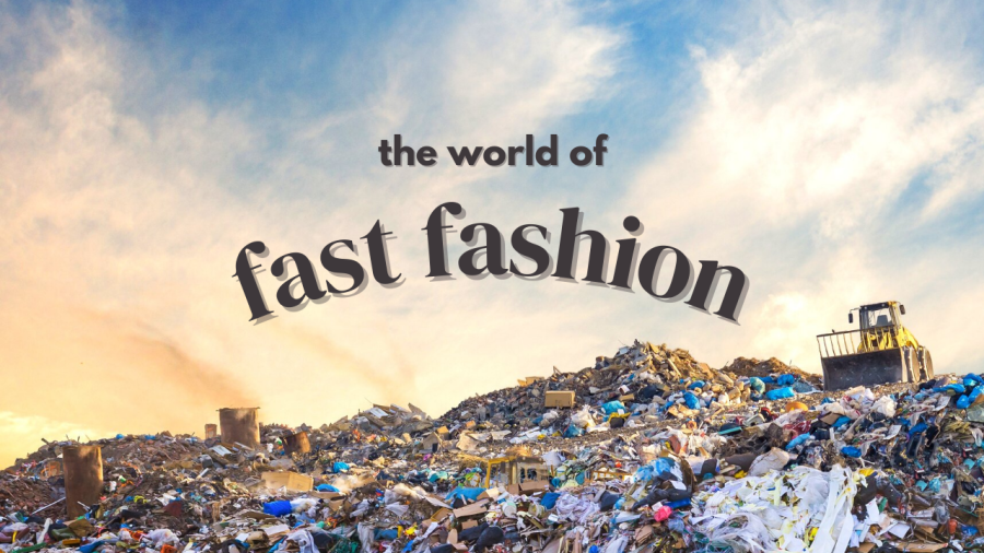 Fast Fashion Market'