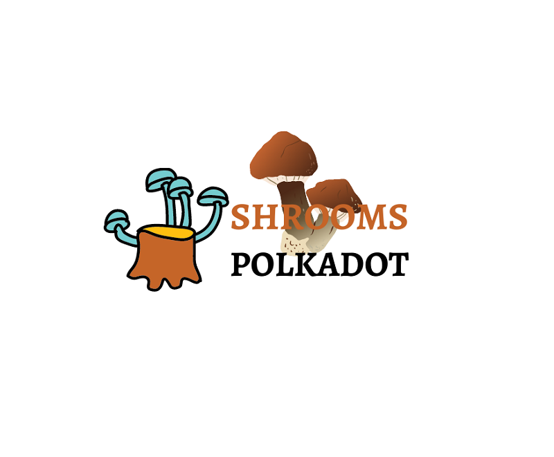 Company Logo For shroomspolkadot'