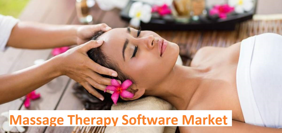 Massage Therapy Software Market'