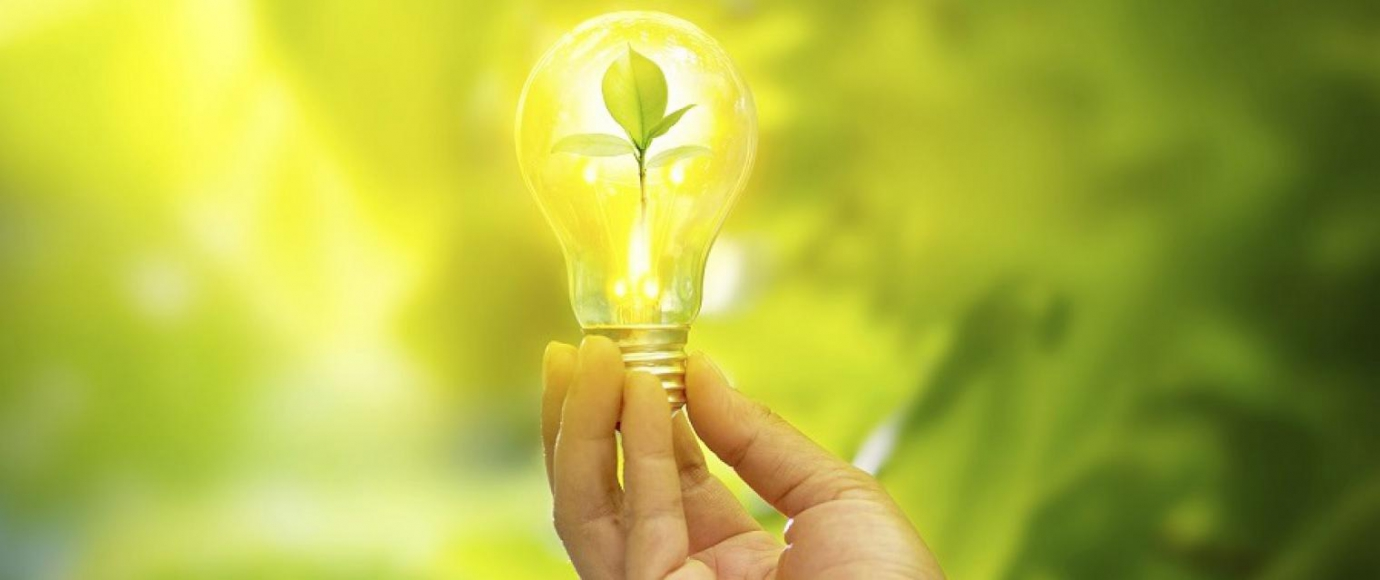 Sustainability Consulting Market'