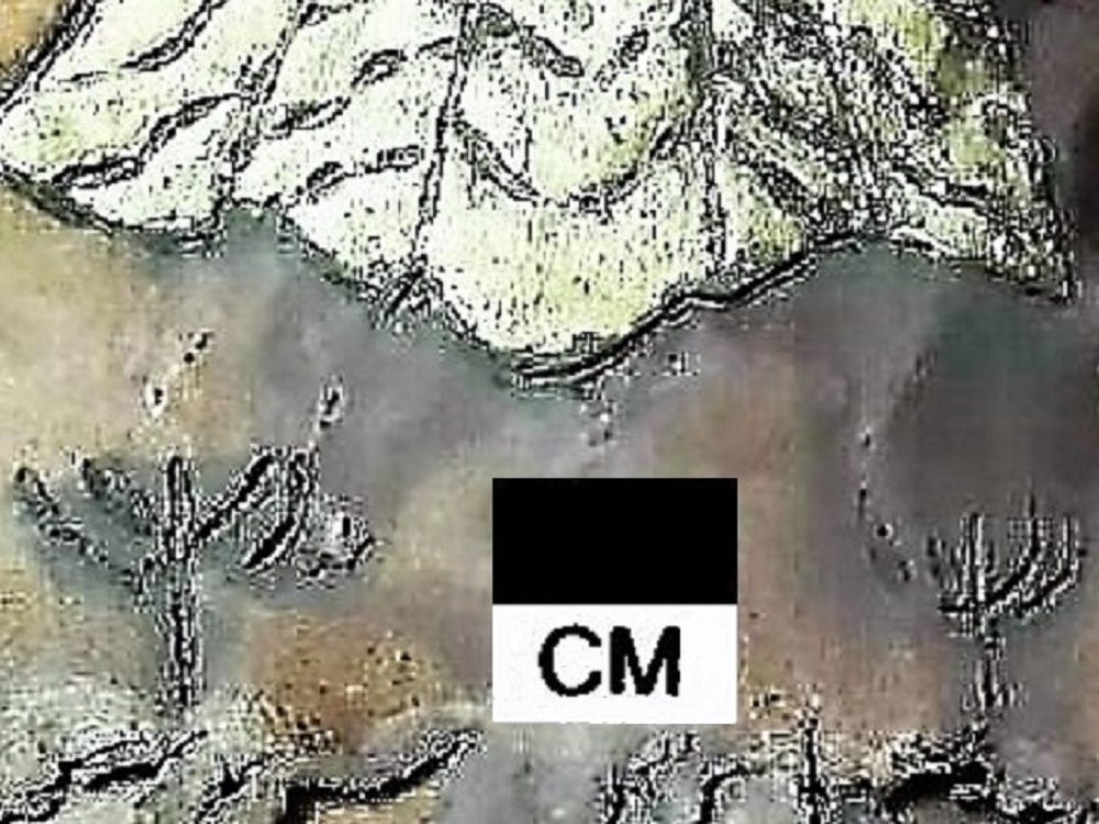 Dr. Joel Klenck, Noah's Ark Codex, Page 5, 5-Branch Menorahs'