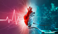 Artificial Heart Market