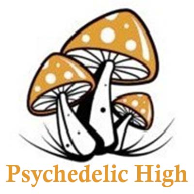 Psychedelic High Logo