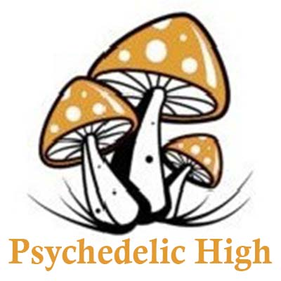 Company Logo For Psychedelic High'