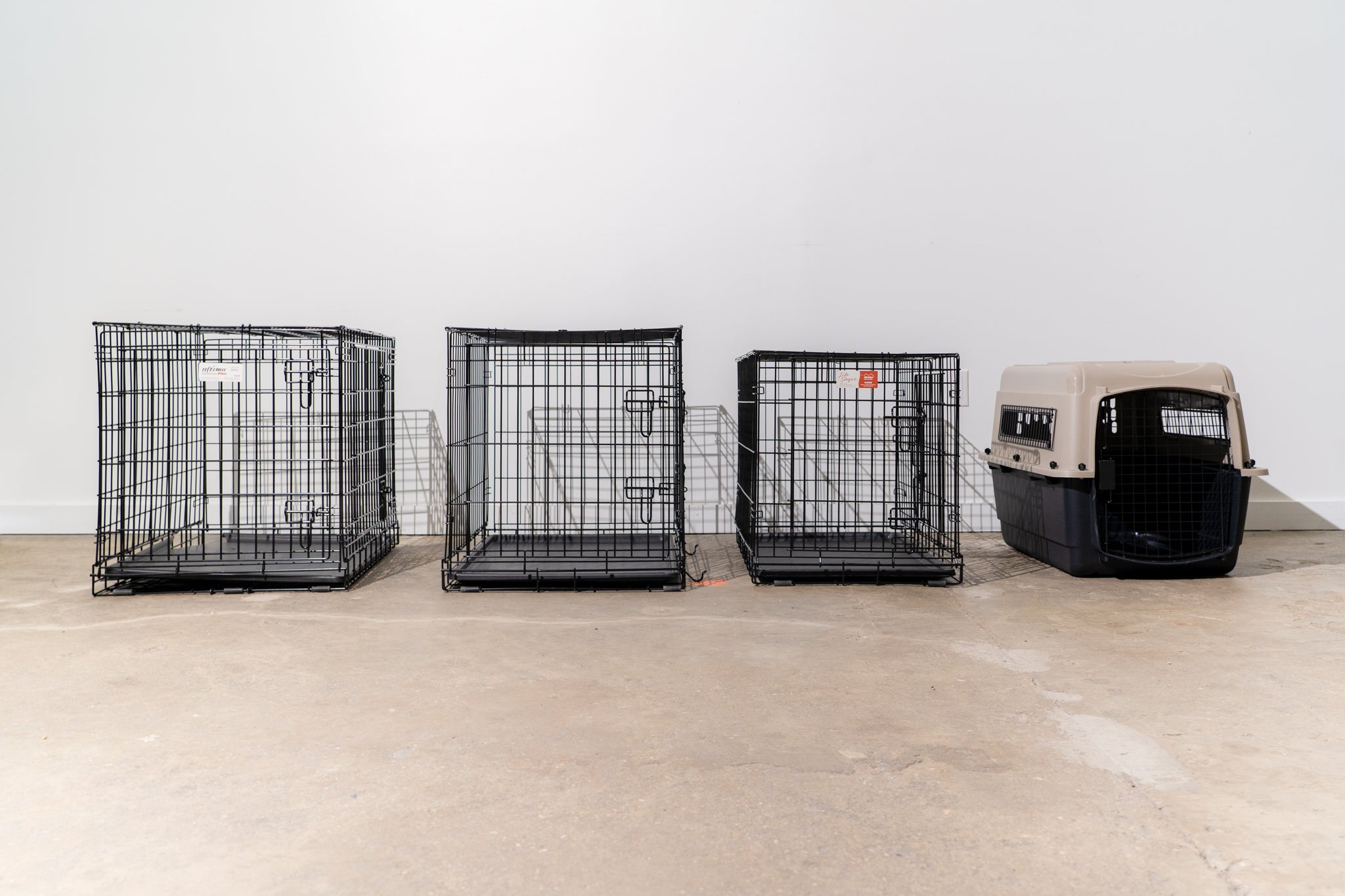 Dog Crates and Kennels Market Seeking Excellent Growth | Go'
