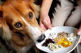 Pets Vitamins and Supplement Market to See Huge Growth by 20'