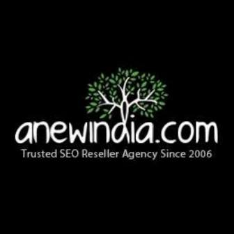 Company Logo For A New India SEO Reseller Agency'