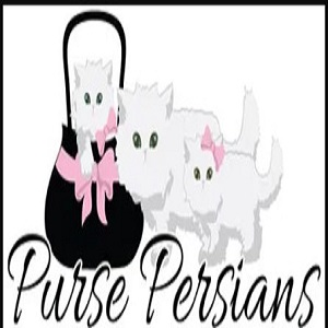 Company Logo For Purse Persians'
