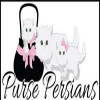 Purse Persians