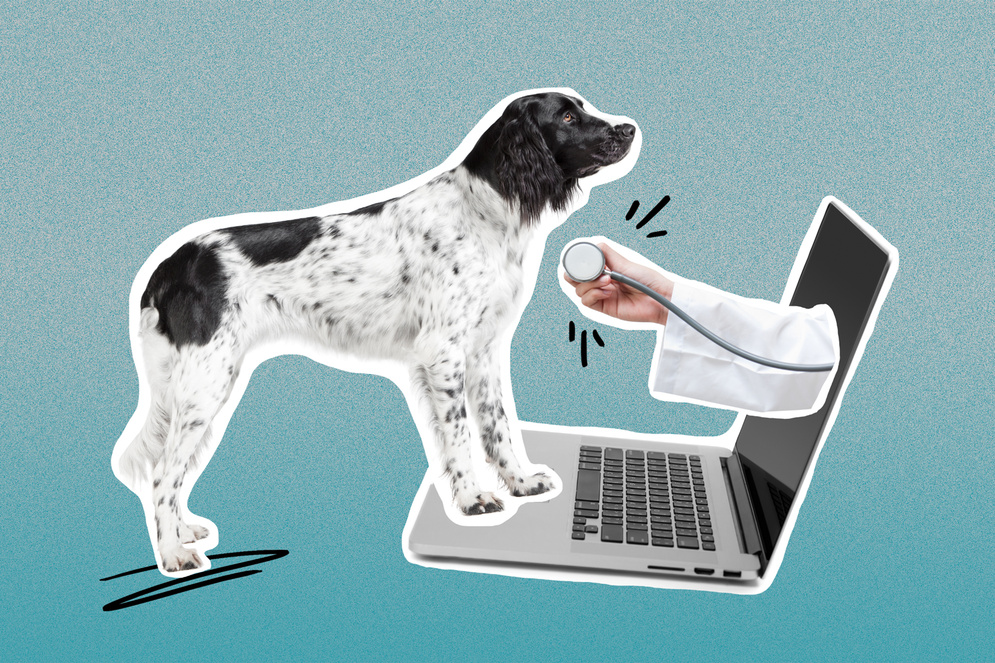 Pets Telehealth Market