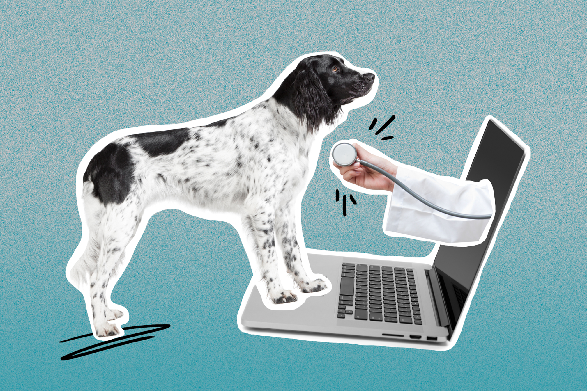 Pets Telehealth Market'