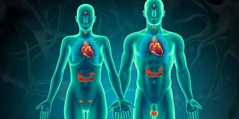 Endocrine Testing System Market