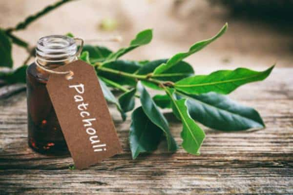 Patchouli Oil Market