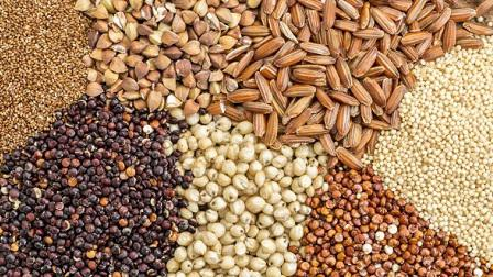 Animal Feed Ingredients Market