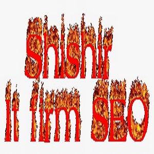 Company Logo For Shishir It firm SEO'